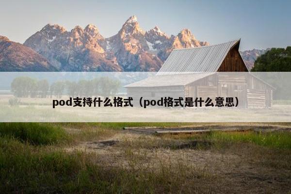 pod支持什么格式（pod格式是什么意思）
