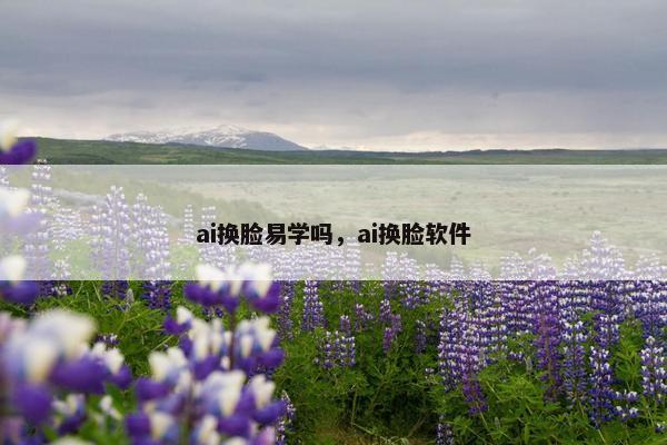 ai换脸易学吗，ai换脸软件