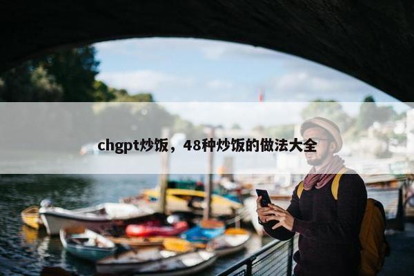 chgpt炒饭，48种炒饭的做法大全