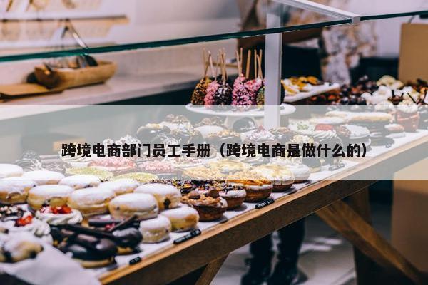 跨境电商部门员工手册（跨境电商是做什么的）