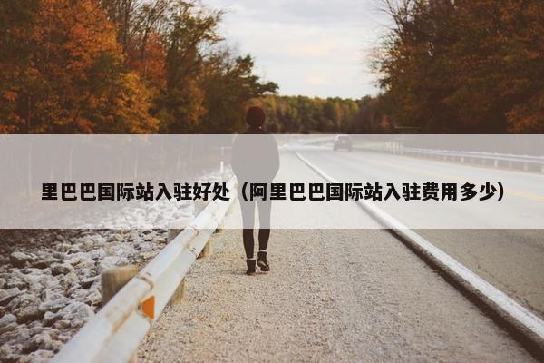 里巴巴国际站入驻好处（阿里巴巴国际站入驻费用多少）