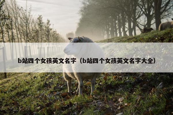 b站四个女孩英文名字（b站四个女孩英文名字大全）