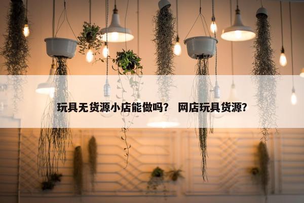 玩具无货源小店能做吗？ 网店玩具货源？