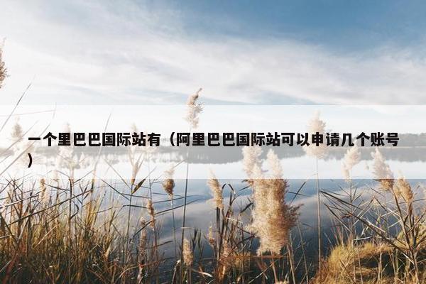一个里巴巴国际站有（阿里巴巴国际站可以申请几个账号）