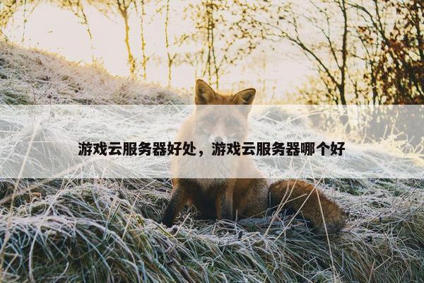 游戏云服务器好处，游戏云服务器哪个好