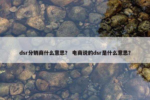 dsr分销商什么意思？ 电商说的dsr是什么意思？