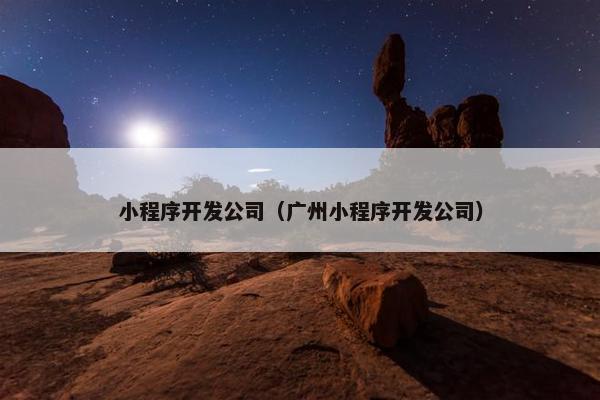 小程序开发公司（广州小程序开发公司）