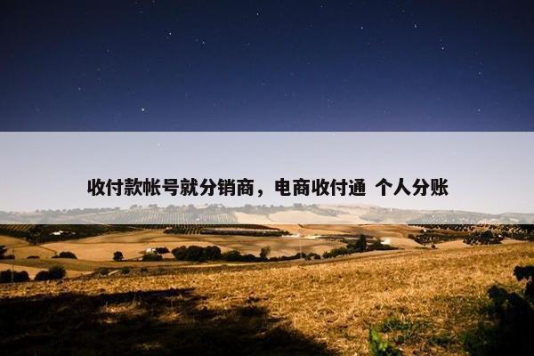 收付款帐号就分销商，电商收付通 个人分账