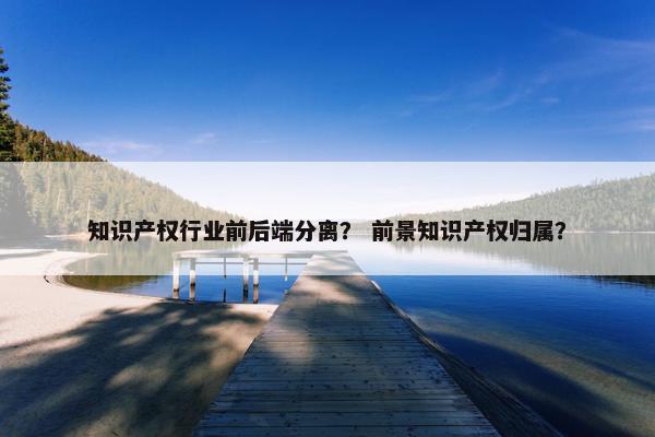 知识产权行业前后端分离？ 前景知识产权归属？