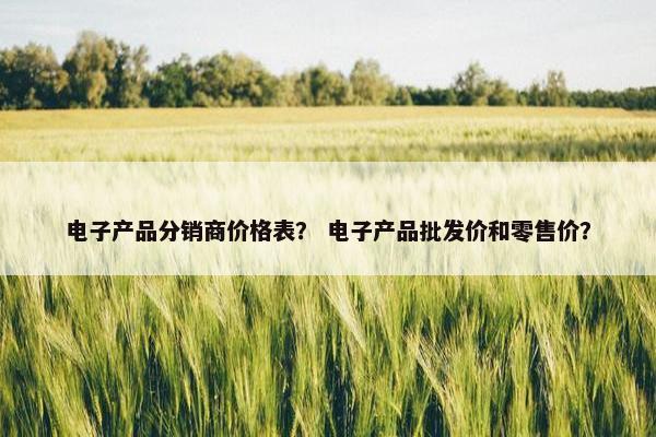 电子产品分销商价格表？ 电子产品批发价和零售价？