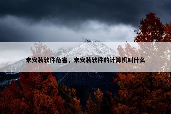 未安装软件危害，未安装软件的计算机叫什么