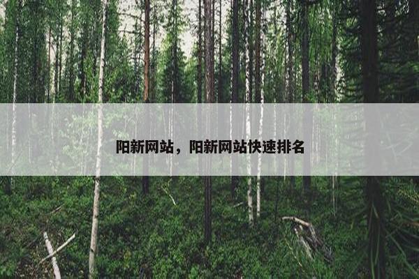 阳新网站，阳新网站快速排名