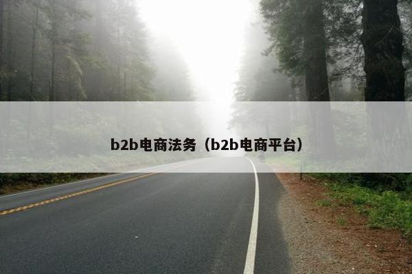 b2b电商法务（b2b电商平台）