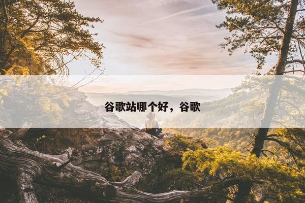 谷歌站哪个好，谷歌