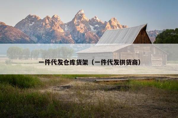 一件代发仓库货架（一件代发供货商）