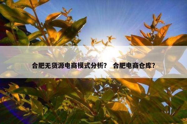 合肥无货源电商模式分析？ 合肥电商仓库？