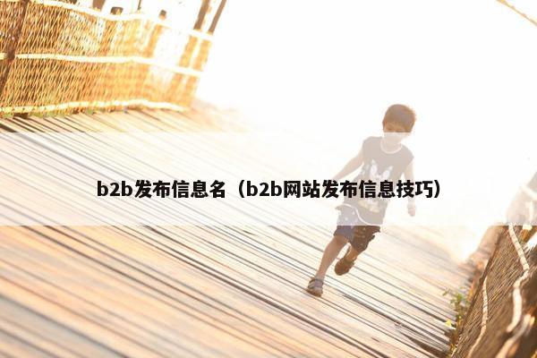 b2b发布信息名（b2b网站发布信息技巧）