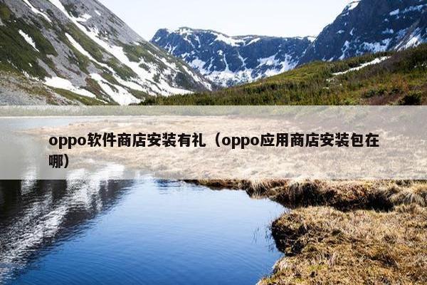 oppo软件商店安装有礼（oppo应用商店安装包在哪）
