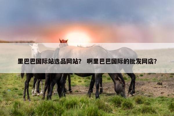 里巴巴国际站选品网站？ 啊里巴巴国际的批发网店？