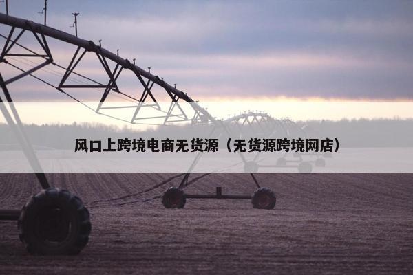 风口上跨境电商无货源（无货源跨境网店）