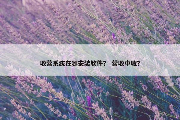 收营系统在哪安装软件？ 营收中收？