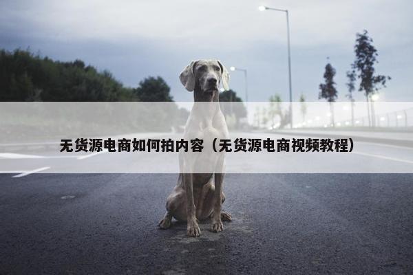 无货源电商如何拍内容（无货源电商视频教程）
