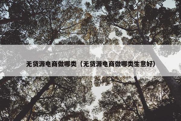 无货源电商做哪类（无货源电商做哪类生意好）