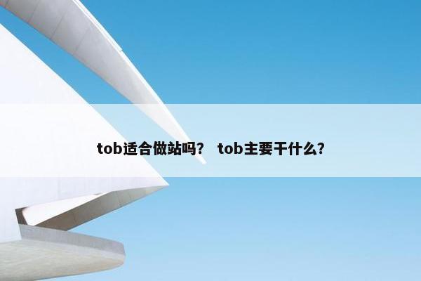 tob适合做站吗？ tob主要干什么？