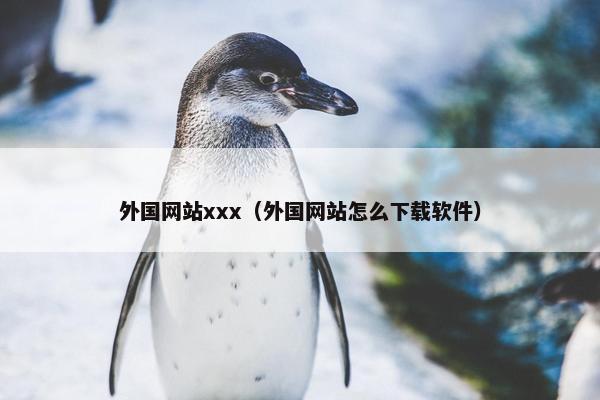 外国网站xxx（外国网站怎么下载软件）