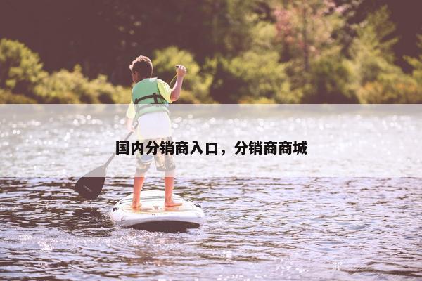 国内分销商入口，分销商商城