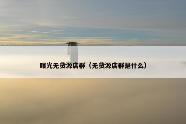 曝光无货源店群（无货源店群是什么）