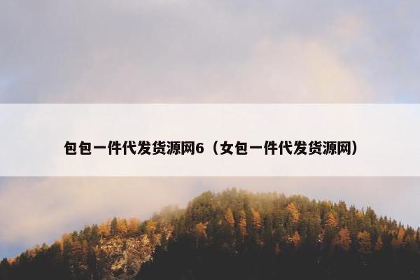 包包一件代发货源网6（女包一件代发货源网）