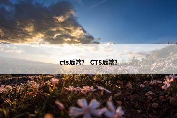 cts后端？ CTS后端？