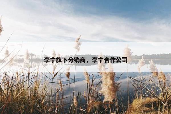 李宁旗下分销商，李宁合作公司