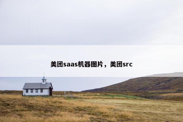 美团saas机器图片，美团src
