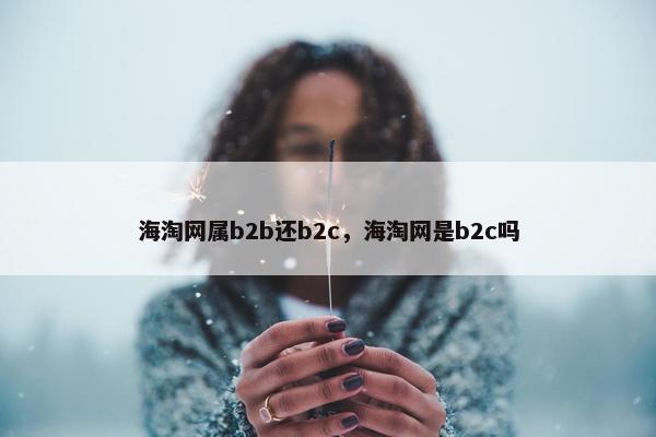 海淘网属b2b还b2c，海淘网是b2c吗