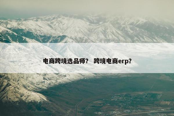 电商跨境选品师？ 跨境电商erp？