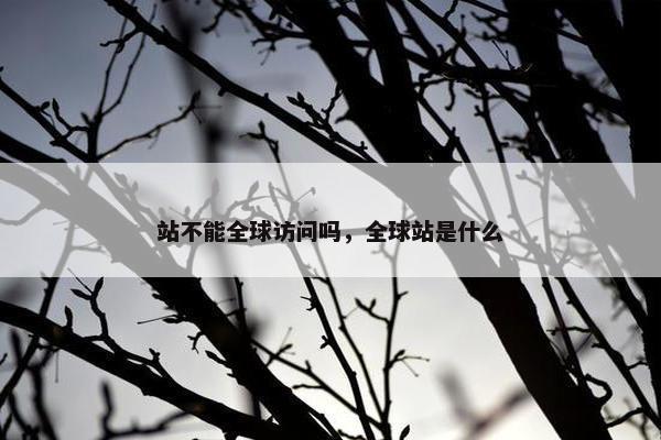 站不能全球访问吗，全球站是什么