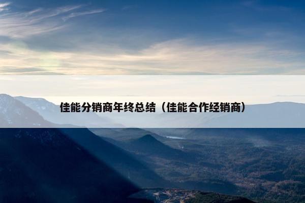 佳能分销商年终总结（佳能合作经销商）