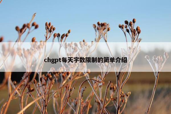 chgpt每天字数限制的简单介绍