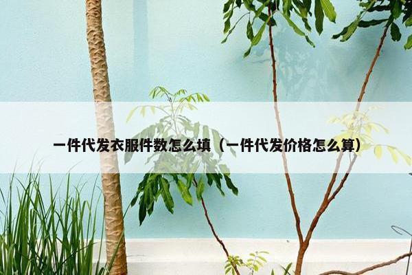 一件代发衣服件数怎么填（一件代发价格怎么算）