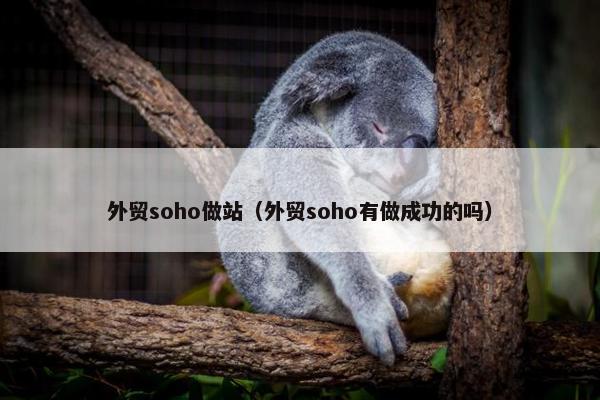 外贸soho做站（外贸soho有做成功的吗）