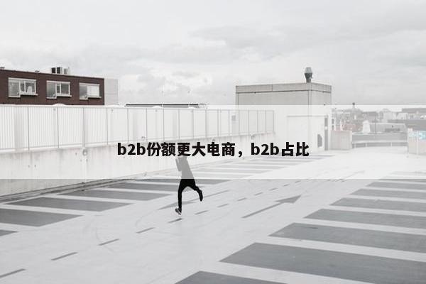 b2b份额更大电商，b2b占比