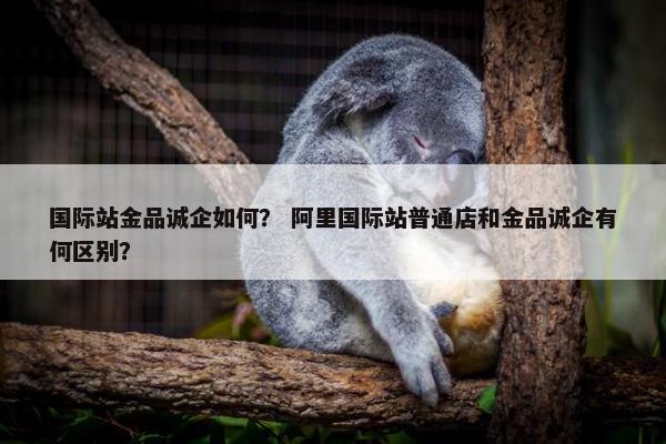 国际站金品诚企如何？ 阿里国际站普通店和金品诚企有何区别？