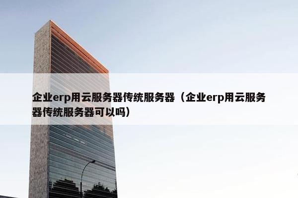 企业erp用云服务器传统服务器（企业erp用云服务器传统服务器可以吗）