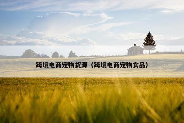 跨境电商宠物货源（跨境电商宠物食品）