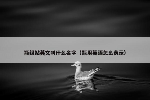 瓶组站英文叫什么名字（瓶用英语怎么表示）