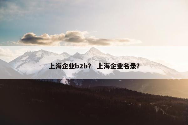 上海企业b2b？ 上海企业名录？
