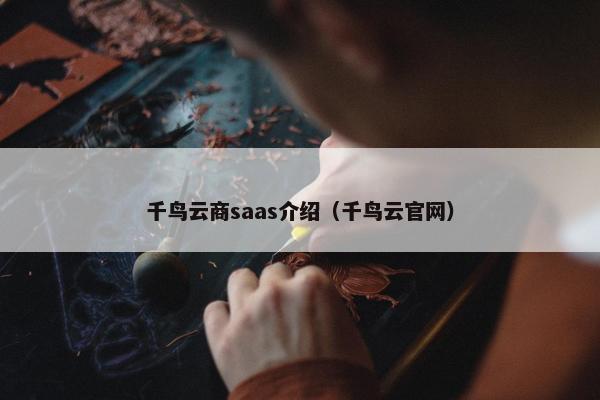 千鸟云商saas介绍（千鸟云官网）
