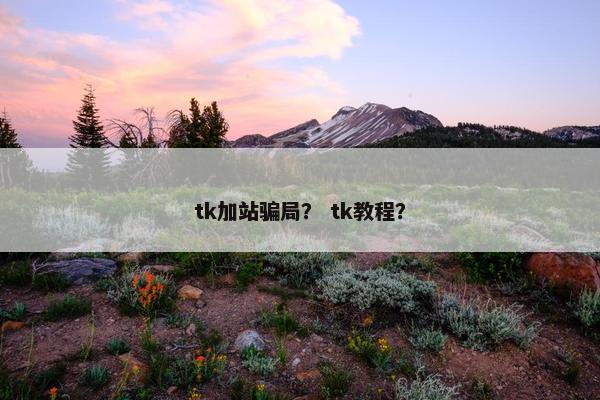 tk加站骗局？ tk教程？
